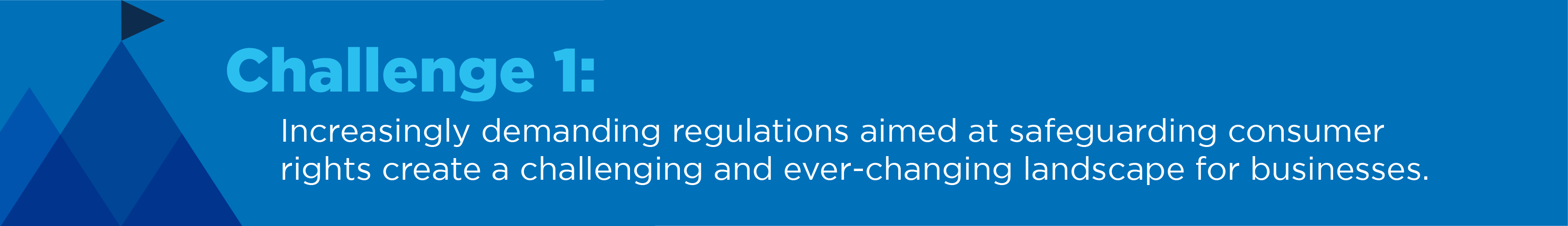 Challenge 1: Increasingly demanding regulations aimed at safeguarding consumer rights create a challenging and ever-changing landscape for business.