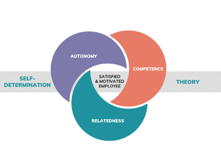 A graphic showing the self-determination theory, including autonomy, competence, and relatedness. Together, these make a satisfied and motivated employee.