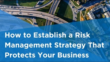 How to Establish a Risk Management Strategy white paper image
